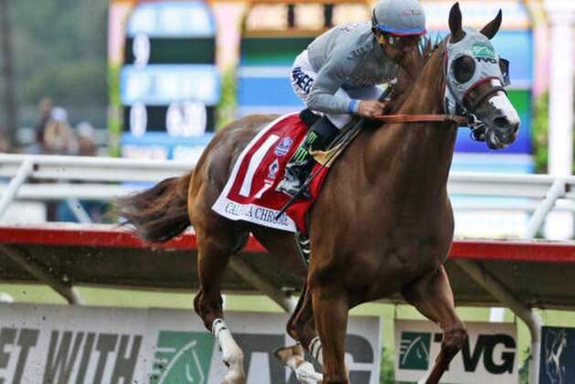 FILE - In this Aug. 20, 2016, file photo, California Chrome flies down the stretch on the way to winning the Pacific Classic horse race at Del Mar Thoroughbred Club in Del Mar, Calif. California Chrome will try to cap an undefeated year with a victory in the $6 million Breeders' Cup Classic this weekend at Santa Anita. (AP Photo/Lenny Ignelzi, File) FILE - In this Aug. 20, 2016, file photo, California Chrome flies down the stretch on the way to winning the Pacific Classic horse race at Del Mar Thoroughbred Club in Del Mar, Calif. California Chrome will try to cap an undefeated year with a victory in the $6 million Breeders' Cup Classic this weekend at Santa Anita. (AP Photo/Lenny Ignelzi, File)