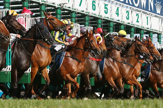 MELBOURNE, AUSTRALIA - NOVEMBER 03:  Horses start from the barrier in race 8 the Crown Oaks on Oaks Day at Flemington Racecourse on November 3, 2016 in Melbourne, Australia.  (Photo by Michael Dodge/Getty Images)
