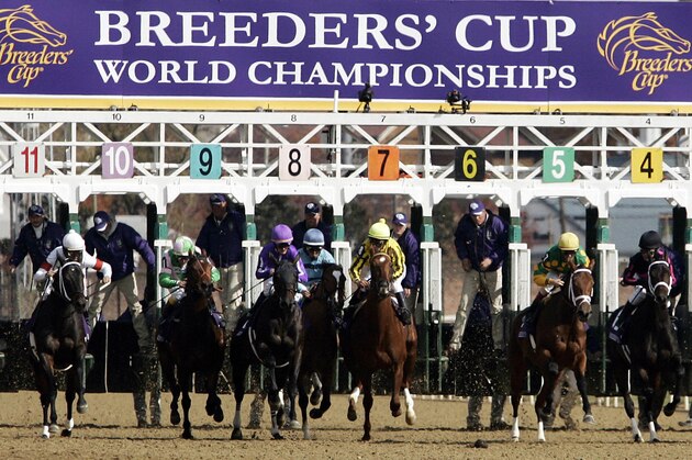 Louisville, UNITED STATES:  Horse's leave the starting the gate 04 November, 2006 during the Breeders' Cup Juvenile Fillies horse race at Churchill Downs in Louisville, Kentucky.    AFP PHOTO/JEFF HAYNES  (Photo credit should read JEFF HAYNES/AFP/Getty Images)