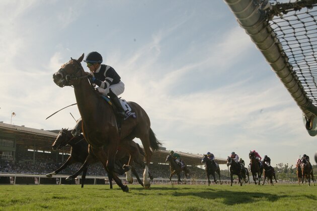 ARCADIA, CA - NOVEMBER 4: Oscar Performance with Jose Ortiz up wins the Breeders' Cup Juvenile Turf at Santa Anita Park on November 4, 2016 in Arcadia, California. (Photo by Horsephotos/Getty Images)