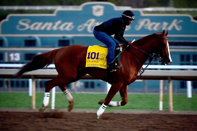 ARCADIA, CA - NOVEMBER 03:  California Chrome and exercise rider Dihigi Gladney during training for the Classic in the 2016 Breeders' Cup World Championships at Santa Anita Park on November 3, 2016 in Arcadia, California.  (Photo by Harry How/Getty Images)