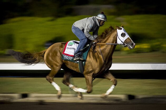 CYPRESS, CA - OCTOBER 27: California Chrome, with exercise rider Dihigi Gladney aboard, completes his final preparation for the Breeders' Cup Classic, working 6 furlongs in 1:12 1/5 seconds at Los Alamitos Race Track on October 27, 2016 in Cypress, California. (Photo by Alex Evers/Eclipse Sportswire/Getty Images)