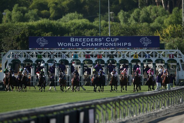 ARCADIA, CA - NOVEMBER 04:  A general view before the Breeders' Cup Juvenile Turf during day one of the 2016 Breeders' Cup World Championships at Santa Anita Park on November 4, 2016 in Arcadia, California.  (Photo by Joe Scarnici/Getty Images)