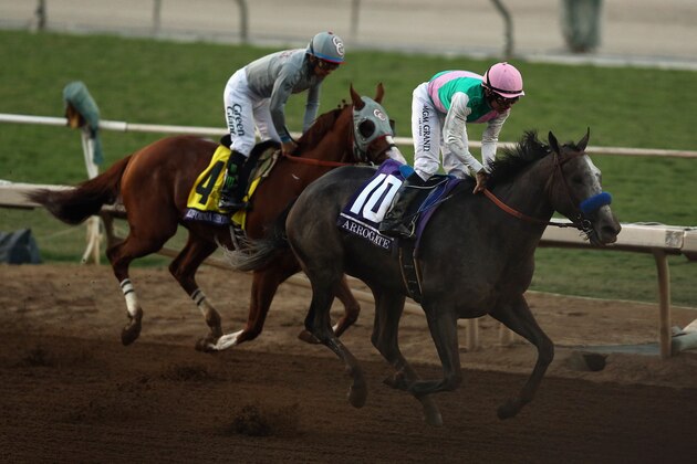 ARCADIA, CA - NOVEMBER 05:  Arrogate ridden by jockey Mike Smith races to the finish line past California Chrome ridden by jockey Victor Espinoza during the Breeders' Cup Classic race on day two of the 2016 Breeders' Cup World Championships at Santa Anita Park on November 5, 2016 in Arcadia, California.  (Photo by Joe Scarnici/Getty Images)
