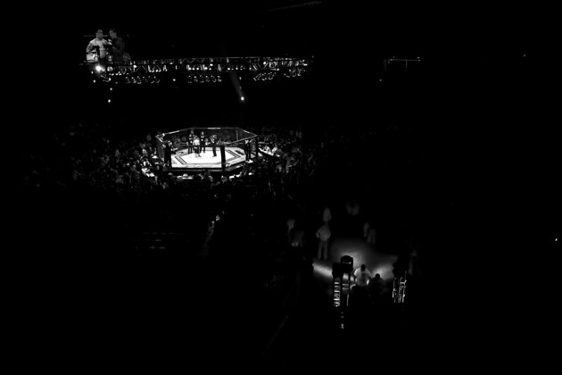 FAIRFAX, VA - FEBRUARY 21: Fans wait for fighters to enter the cage at UWC 5 Man 'O' War Extreme Cage Fighting at the George Mason University Patriot Center in Fairfax, Virginia on February 21, 2009.  (Photo by David S. Holloway/Getty Images)
