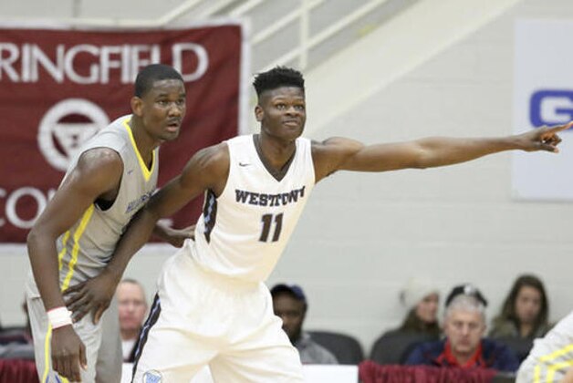Hillcrest Prep's DeAndre Ayton #0 in action against Westtown School's Mohamed Bamba during a high school basketball game at the 2017 Hoophall Classic on Saturday, January 14,, 2017, in Springfield, MA.. Westtown School won. (AP Photot/Gregory Payan)