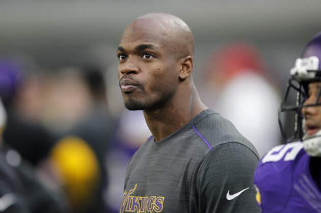 Injured Minnesota Vikings running back Adrian Peterson watches from the sideline during the second half of an NFL football game against the Chicago Bears Sunday, Jan. 1, 2017, in Minneapolis. The Vikings won 38-10. (AP Photo/Andy Clayton-King)