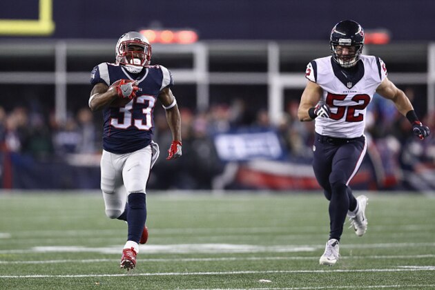 FOXBORO, MA - JANUARY 14:  Dion Lewis