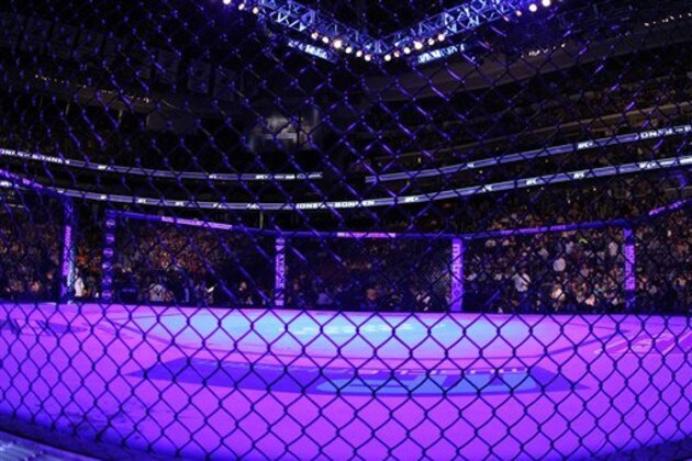 An overall, general view of the Octagon at the Prudential Center at UFC 159 in Newark, NJ, Saturday, April 27,2013.   (AP Photo/Gregory Payan)