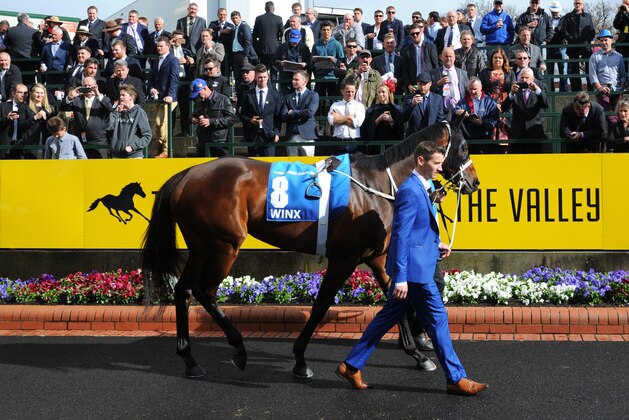 MELBOURNE, AUSTRALIA - OCTOBER 22:  Winx before winning Race 9, William Hill Cox Plate during Cox Plate Day at Moonee Valley Racecourse on October 22, 2016 in Melbourne, Australia.  (Photo by Vince Caligiuri/Getty Images)