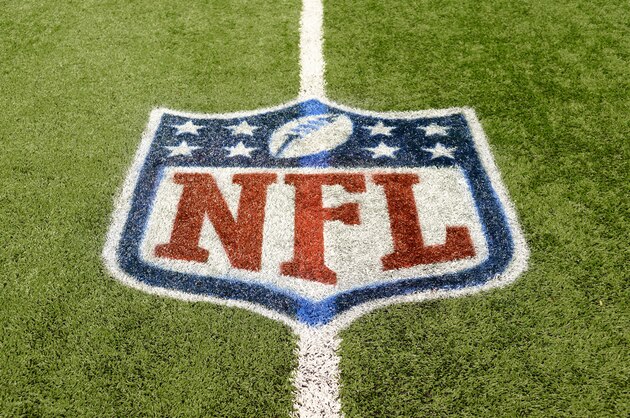 DETROIT, MI - NOVEMBER 24:  A detailed view of an NFL shield logo painted on the field before the game between the  Detroit Lions and the Tampa Bay Buccaneers at Ford Field on November 24, 2013 in Detroit, Michigan. The Buccaneers defeated the Lions 24-21.  (Photo by Mark Cunningham/Detroit Lions/Getty Images)