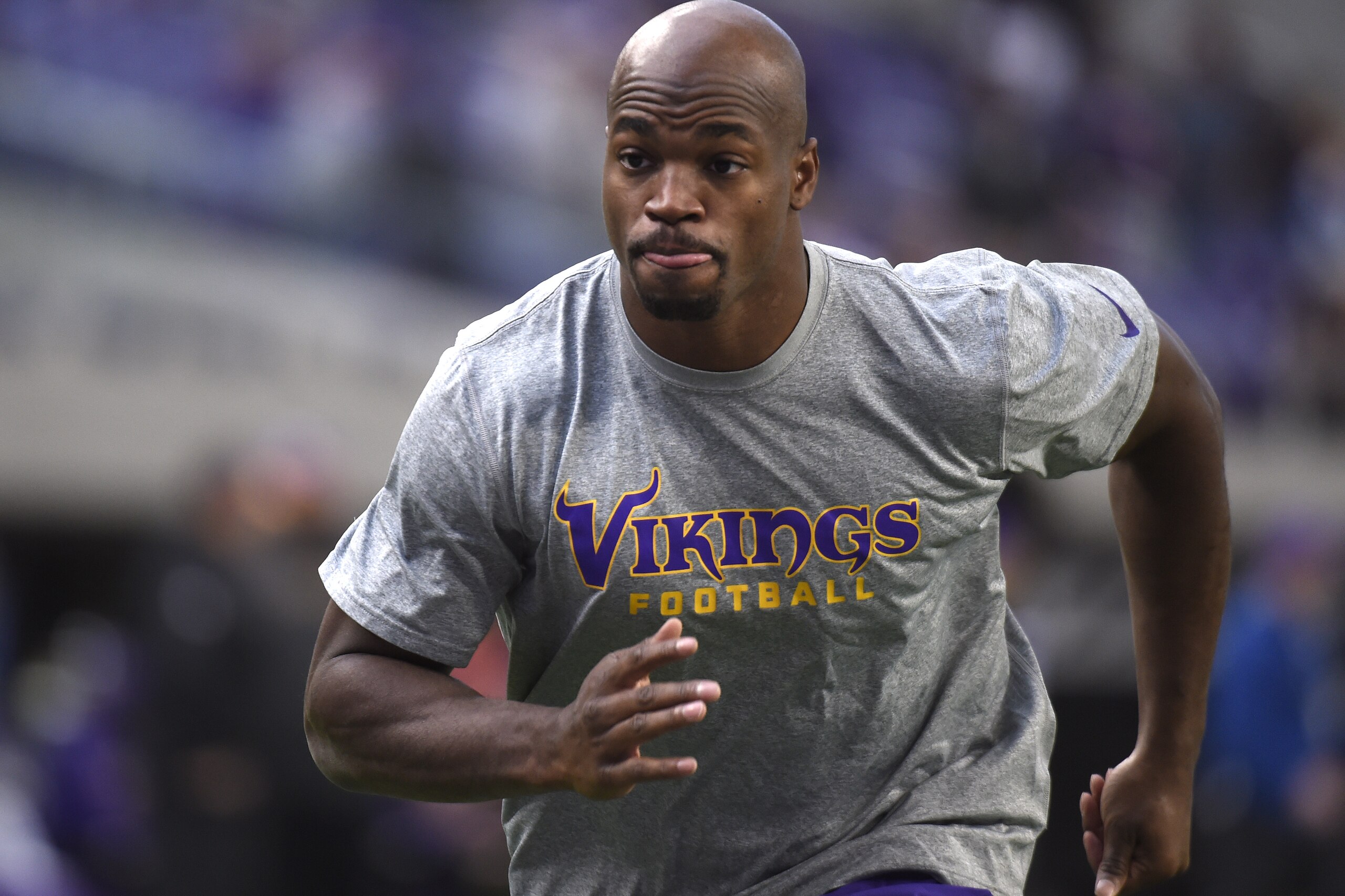 MINNEAPOLIS, MN - DECEMBER 18: Adrian Peterson #28 of the Minnesota Vikings warms up before the game against the Indianapolis Colts on December 18, 2016 at US Bank Stadium in Minneapolis, Minnesota. Peterson returns to play after injuring his knee in week two of the season. (Photo by Hannah Foslien/Getty Images)