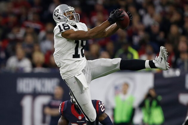 HOUSTON, TX - JANUARY 07:  Andre Holmes #18 of the Oakland Raiders leaps to catch a pass against the Houston Texans in their AFC Wild Card game at NRG Stadium on January 7, 2017 in Houston, Texas.  (Photo by Bob Levey/Getty Images)
