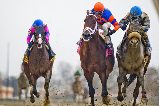 NEW YORK NY - APRIL 06:  Outwork #8 in the orange cap, ridden by John Velazquez, outduels a fast closing Trojan Nation #3, ridden by Aaron Gryder, to win the Wood Memorial Stakes Outwork, on Wood Memorial Stakes Day at Aqueduct Race Track on April 9, 2016 in the Ozone Park section of the Queens borough of New York. (photo by Scott Serio/Eclipse Sportswire/Getty Images)