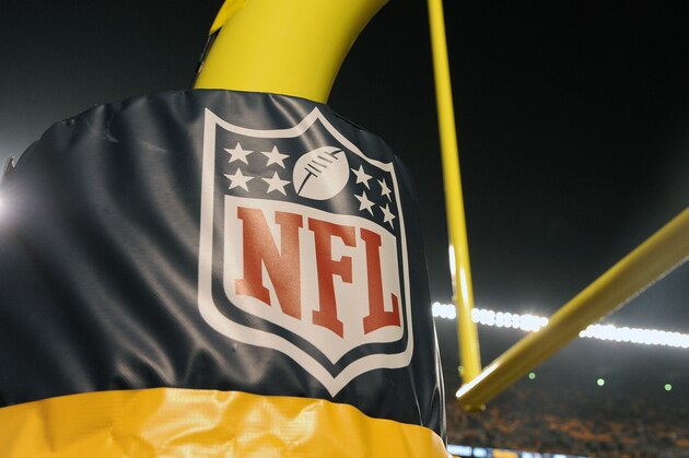 PITTSBURGH, PA - DECEMBER 6:  A view of the National Football League shield logo on a goalpost during a game between the Indianapolis Colts and Pittsburgh Steelers at Heinz Field on December 6, 2015 in Pittsburgh, Pennsylvania.  The Steelers defeated the Colts 45-10. (Photo by George Gojkovich/Getty Images)
