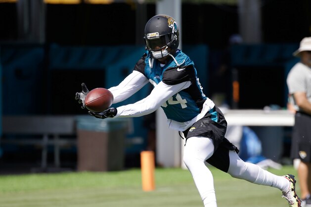 Jacksonville Jaguars wide receiver Shaq Evans goes after a pass during NFL football training camp, Friday, July 29, 2016, in Jacksonville, Fla. (AP Photo/John Raoux)