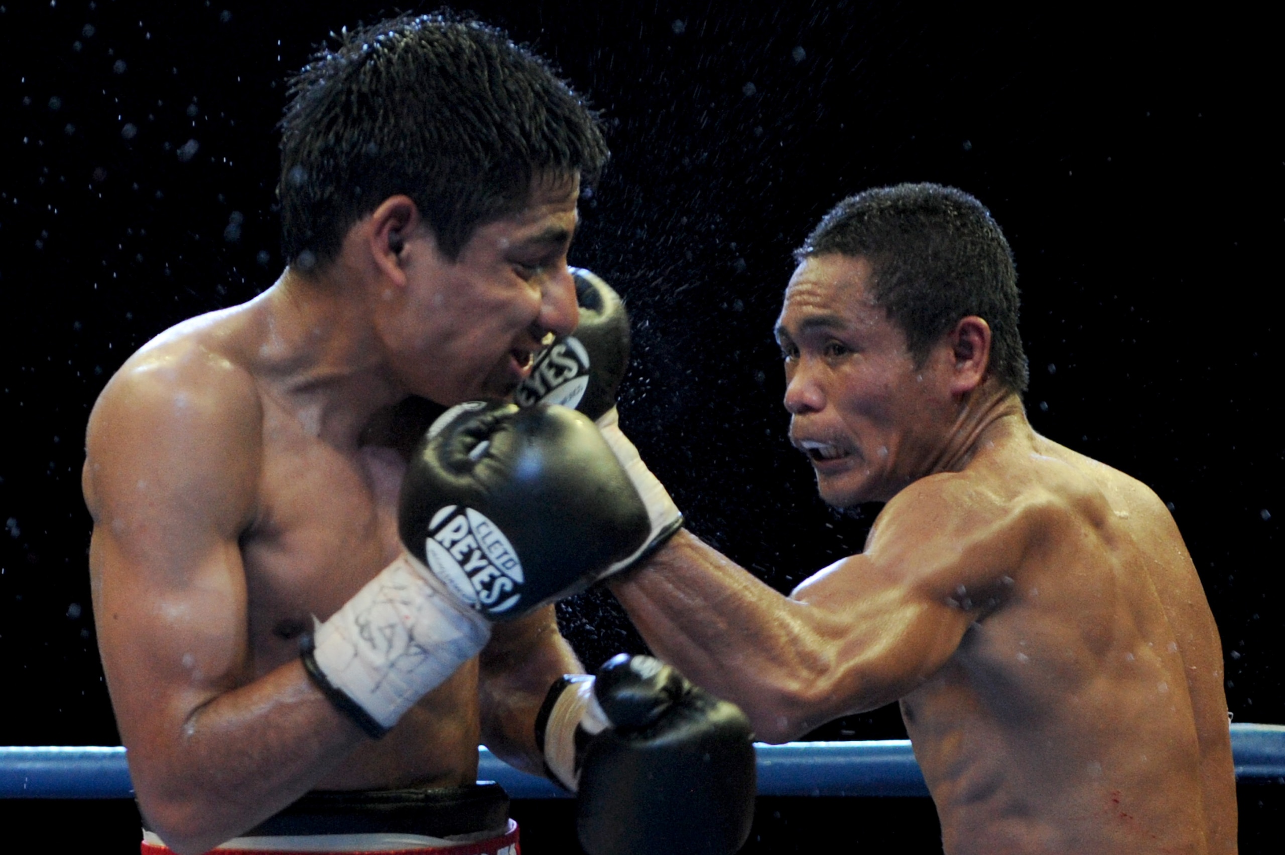 World Boxing Organization light-flyweight champion Donnie Nietes (R) of the Philippines punches Mexican challenger Felipe Salguero on June 2, 2012 during a WBO light-flyweight title bout in Manila. AFP PHOTO / Jay DIRECTO (Photo credit should read JAY DIRECTO/AFP/GettyImages) World Boxing Organization light-flyweight champion Donnie Nietes (R) of the Philippines punches Mexican challenger Felipe Salguero on June 2, 2012 during a WBO light-flyweight title bout in Manila. AFP PHOTO / Jay DIRECTO (Photo credit should read JAY DIRECTO/AFP/GettyImages)