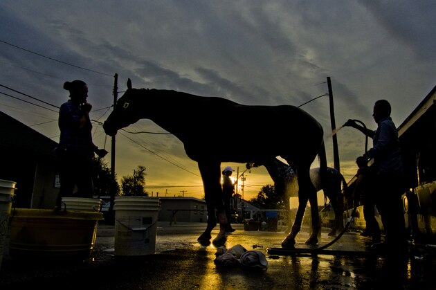 LOUISVILLE, KENTUCKY - APRIL 30: Horses get baths on the backside during Kentucky Derby and Oaks preparations at Churchill Downs on April 30, 2017 in Louisville, Kentucky. (Photo by Scott Serio/Eclipse Sportswire/Getty Images)
