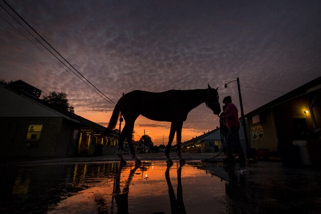 LOUISVILLE, KY - APRIL 30:  A horse gets a bath as the sun rises at Churchill Downs on April 30, 2017 in Louisville, Kentucky. (Photo by Alex Evers/Eclipse Sportswire/Getty Images)