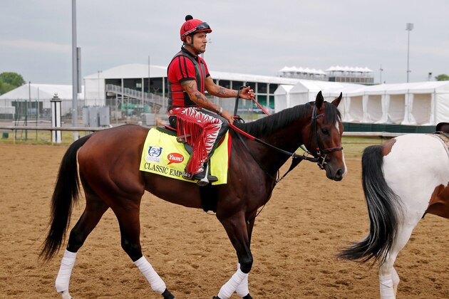 LOUISVILLE, KENTUCKY - APRIL 30: Classic Empire, owned by John Oxley and trained by Mark E. Casse, exercises in preparation for the Kentucky Derby at Churchill Downs on April 30, 2017 in Louisville, Kentucky. (Photo by Jon Durr/Eclipse Sportswire/Getty Images)