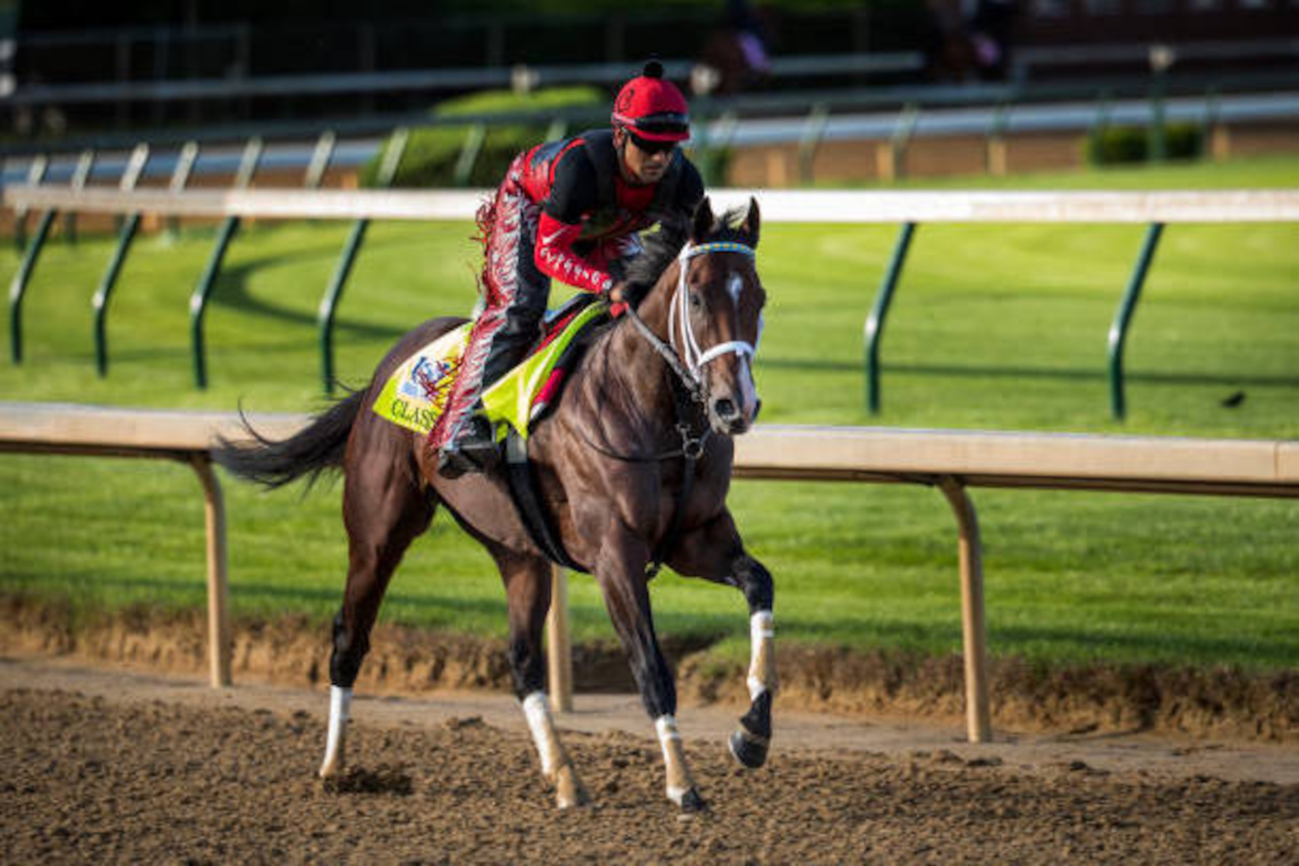 LOUISVILLE, KY - MAY 01: Classic Empire gallops at Churchill Downs on May 01, 2017 in Louisville, Kentucky. (Photo by Alex Evers/Eclipse Sportswire/Getty Images)