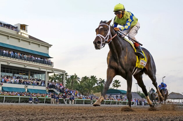 HALLANDALE BEACH, FL - APRIL 01:  Always Dreaming #4 (FL) with jockey John Velazquez on board, wins the Xpressbet Florida Derby (Grade I) at Gulfstream Park on April 01, 2017 in Hallandale Beach, Florida. (Photo by Liz Lamont/Eclipse Sportswire/Getty Images)