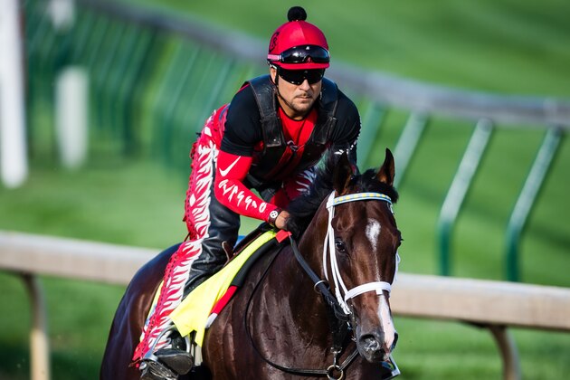 LOUISVILLE, KENTUCKY - MAY 01: Classic Empire, owned by John Oxley and trained by Mark E. Casse, exercises in preparation for the Kentucky Derby  at Churchill Downs on May 1, 2017 in Louisville, Kentucky. (Photo by Douglas DeFelice/Eclipse Sportswire/Getty Images)