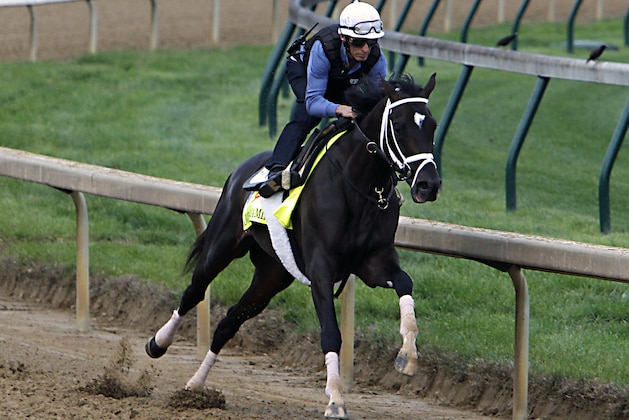 Jockey John Velazquez puts Kentucky Derby hopeful Always Dreaming through a workout at Churchill Downs in Louisville, Ky., Friday, Apr.28, 2017. Always Dreaming, trained by Todd Pletcher, is one of five colts eyeing the May 6th race in his care. (AP Photo/Garry Jones)