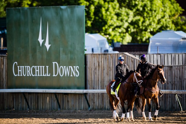 LOUISVILLE, KENTUCKY - MAY 02: Patch, owned by Calumet Farm and trained by Todd Pletcher, walks back to the barn on the track during preparations of the Kentucky Derby at Churchill Downs on May 2, 2017 in Louisville, Kentucky. (Photo by Douglas DeFelice/Eclipse Sportswire/Getty Images)