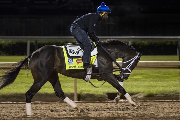 LOUISVILLE, KY - MAY 02: Always Dreaming, owned by Brooklyn Boyz Stables and trained by Todd Pletcher, exercises in preparation for the Kentucky Derby at Churchill Downs on May 02, 2017 in Louisville, Kentucky. (Photo by Alex Evers/Eclipse Sportswire/Getty Images)