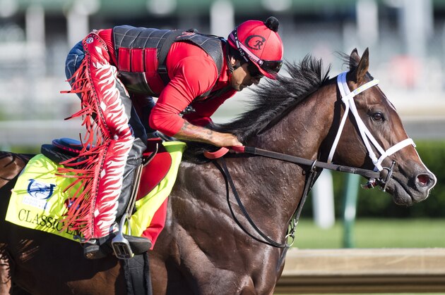 LOUISVILLE, KENTUCKY - MAY 02: Classic Empire, owned by John Oxley and trained by Mark E. Casse, exercises in preparation for the Kentucky Derby at Churchill Downs on May 2, 2017 in Louisville, Kentucky. (Photo by Scott Serio/Eclipse Sportswire/Getty Images)