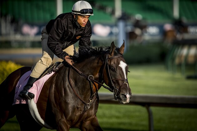 LOUISVILLE, KY - MAY 03: Paradise Woods with exercise rider Alex Bisono gallops at Churchill Downs on May 03, 2017 in Louisville, Kentucky. (Photo by Alex Evers/Eclipse Sportswire/Getty Images)