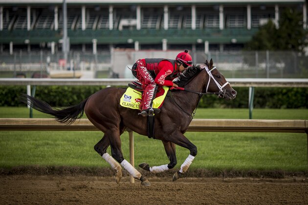 LOUISVILLE, KY - MAY 03: Classic Empire, owned by John Oxley and trained by Mark E. Casse, with Martin Rivers aboard exercises in preparation for the Kentucky Derby at Churchill Downs on May 03, 2017 in Louisville, Kentucky. (Photo by Alex Evers/Eclipse Sportswire/Getty Images)