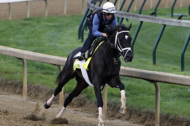 Jockey John Velazquez puts Kentucky Derby hopeful Always Dreaming through a workout at Churchill Downs in Louisville, Ky., Friday, Apr.28, 2017. Always Dreaming, trained by Todd Pletcher, is one of five colts eyeing the May 6th race in his care. (AP Photo/Garry Jones)