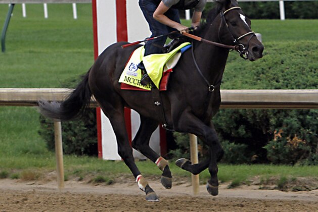 Exercise rider Yoni Orantes guides Kentucky Derby 143 hopeful McCracken through a work out at Churchill Downs in Louisville, Ky., Sunday, Apr. 30, 2017. (AP Photo/Garry Jones)