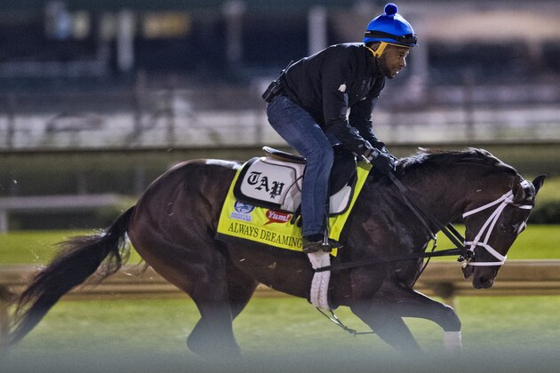 LOUISVILLE, KENTUCKY - MAY 03: Always Dreaming, owned by Brooklyn Boyz Stables and trained by Todd Pletcher, exercises in preparation for the Kentucky Derby at Churchill Downs on May 3, 2017 in Louisville, Kentucky. (Photo by Scott Serio/Eclipse Sportswire/Getty Images)
