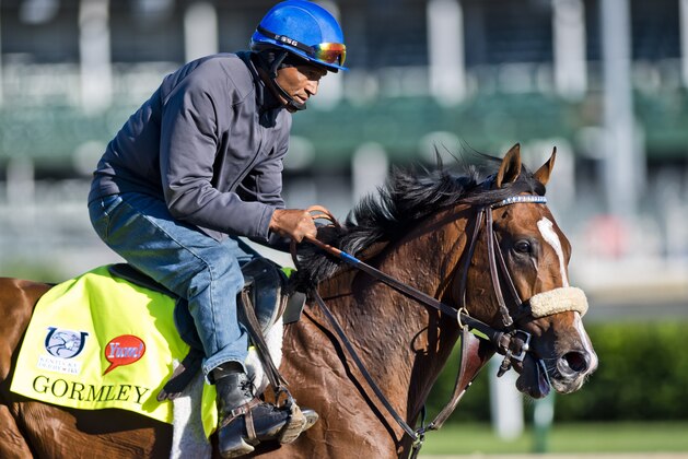 LOUISVILLE, KENTUCKY - MAY 02: Gormley, owned by Mr. and Mrs. Jerome S. Moss and trained by John Shirreffs, exercises in preparation for the Kentucky Derby at Churchill Downs on May 2, 2017 in Louisville, Kentucky. (Photo by Scott Serio/Eclipse Sportswire/Getty Images)