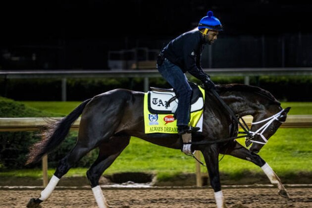 LOUISVILLE, KY - MAY 02: Always Dreaming, owned by Brooklyn Boyz Stables and trained by Todd Pletcher, exercises in preparation for the Kentucky Derby at Churchill Downs on May 02, 2017 in Louisville, Kentucky. (Photo by Alex Evers/Eclipse Sportswire/Getty Images)