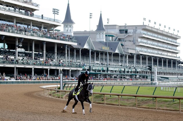 LOUISVILLE, KENTUCKY - MAY 03: Tapwrit, owned by Bridlewood Farm, Eclipse Thoroughbred Partners, and Robert V. LaPenta and trained by Todd Pletcher, exercises in preparation for the Kentucky Derby at Churchill Downs on May 3, 2017 in Louisville, Kentucky. (Photo by Jon Durr/Eclipse Sportswire/Getty Images)