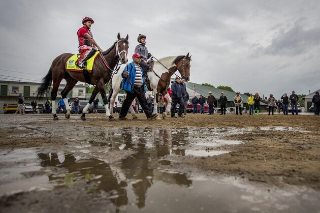 LOUISVILLE, KY - MAY 04: Classic Empire with Martin Rivera walks to the track as fans look on at Churchill Downs ahead of the 143rd Kentucky Derby on May 4, 2017 in Louisville, Kentucky. (Photo by Alex Evers/Eclipse Sportswire/Getty Images)