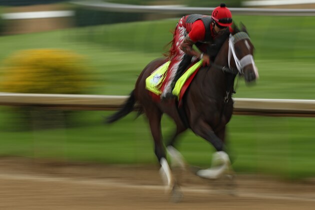 LOUISVILLE, KY - MAY 04: Classic Empire trains on track before the143rd Kentucky Derby at Churchill Downs on May 4, 2017 in Louisville, Kentucky. (Photo by Patrick Smith/Getty Images)
