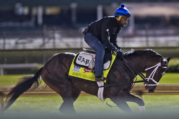 LOUISVILLE, KENTUCKY - MAY 03: Always Dreaming, owned by Brooklyn Boyz Stables and trained by Todd Pletcher, exercises in preparation for the Kentucky Derby at Churchill Downs on May 3, 2017 in Louisville, Kentucky. (Photo by Scott Serio/Eclipse Sportswire/Getty Images)