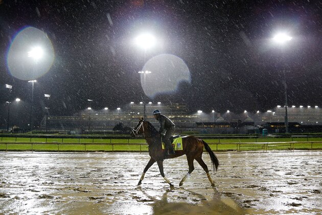LOUISVILLE, KY - MAY 05:  State of Honor runs on the track during morning training prior to the 143rd Kentucky Derby at Churchill Downs on May 5, 2017 in Louisville, Kentucky.  (Photo by Michael Reaves/Getty Images)