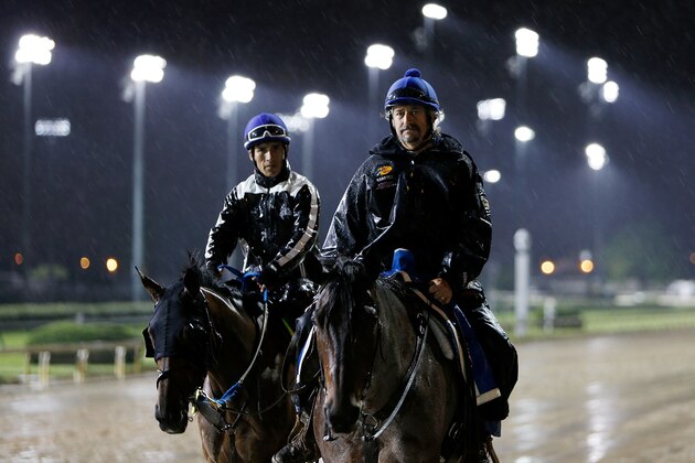 LOUISVILLE, KY - MAY 05:  Trainer Steve Asmussen walks off the track with Looking at Lee after morning training prior to the 143rd Kentucky Derby at Churchill Downs on May 5, 2017 in Louisville, Kentucky.  (Photo by Michael Reaves/Getty Images)