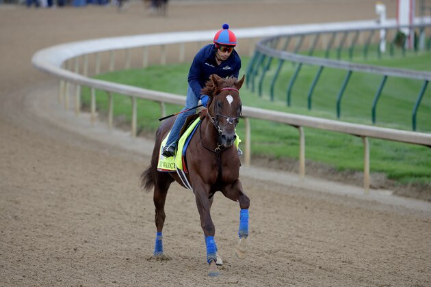 LOUISVILLE, KY - MAY 03:  Irish War Cry runs on the track during the morning training for the Kentucky Derby at Churchill Downs on May 3, 2017 in Louisville, Kentucky.  (Photo by Andy Lyons/Getty Images)
