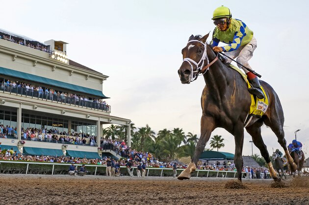 HALLANDALE BEACH, FL - APRIL 01:  Always Dreaming #4 (FL) with jockey John Velazquez on board, wins the Xpressbet Florida Derby (Grade I) at Gulfstream Park on April 01, 2017 in Hallandale Beach, Florida. (Photo by Liz Lamont/Eclipse Sportswire/Getty Images)