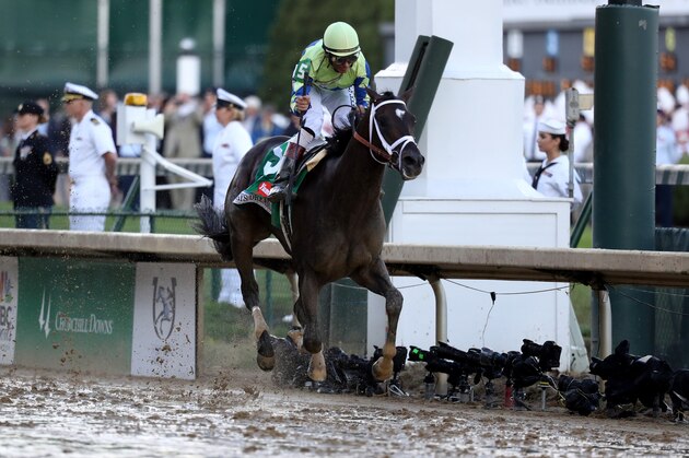 LOUISVILLE, KY - MAY 06:  Jockey John Velazquez celebrates as he guides Always Dreaming #5 across the finish line to win the 143rd running of the Kentucky Derby at Churchill Downs on May 6, 2017 in Louisville, Kentucky.  (Photo by Rob Carr/Getty Images)