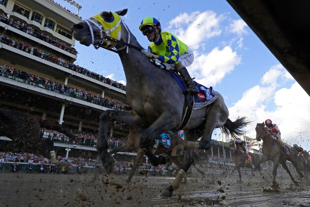 LOUISVILLE, KY - MAY 06:  Always Dreaming #5, ridden by jockey John Velazquez, races down the front stretch during the 143rd running of the Kentucky Derby at Churchill Downs on May 6, 2017 in Louisville, Kentucky.  (Photo by Rob Carr/Getty Images)