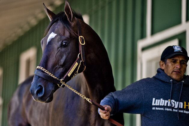 BALTIMORE, MD - MAY 09: Kentucky Derby winner Always Dreaming walks shed row in the Stakes Barn before Preakness preparations at Pimlico Race Course on May 9, 2017 in Baltimore, Maryland.(Photo by Scott Serio/Eclipse Sportswire/Getty Images)
