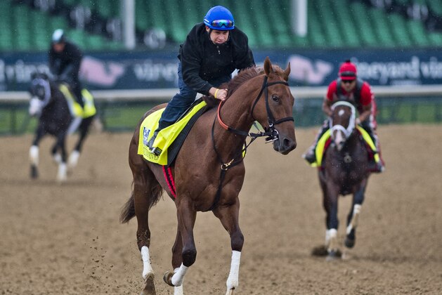 LOUISVILLE, KENTUCKY - MAY 04: Gunnevera exercises during Kentucky Derby and Oaks preparations at Churchill Downs on May 4, 2017 in Louisville, Kentucky. (Photo by Scott Serio/Eclipse Sportswire/Getty Images)